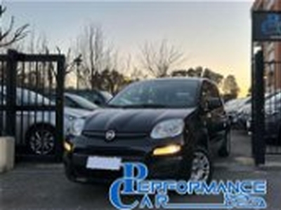 Fiat Panda 1.2 Easy del 2019 usata a Roma