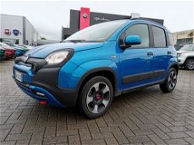 Fiat Panda Cross Cross 1.0 FireFly S&S Hybrid del 2023 usata a Alessandria