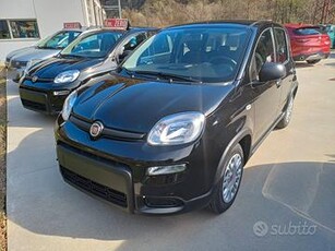 Fiat Panda My24 1.0 70cv FireFly S&S Hybrid