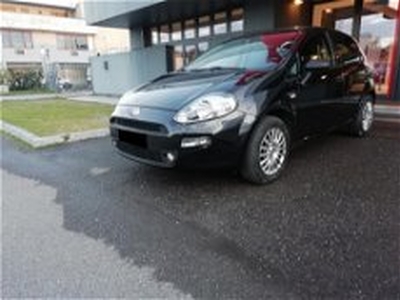 Fiat Punto 1.2 8V 5 porte Street del 2018 usata a Asti