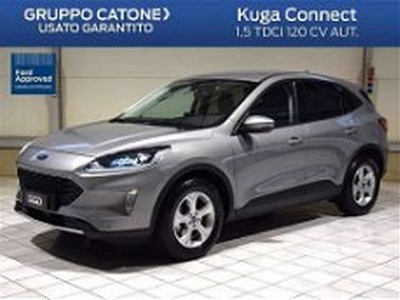 Ford Kuga 1.5 EcoBlue 120 CV aut. 2WD del 2021 usata a Sparanise