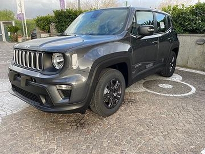 Jeep Renegade 1.6 Mjt 130 CV Longitude