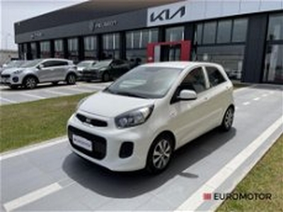 Kia Picanto 1.0 12V EcoGPL 5 porte Active del 2017 usata a Modugno