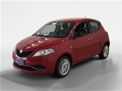 Lancia Ypsilon 1.2 69 CV 5 porte Elefantino del 2017 usata a Massa