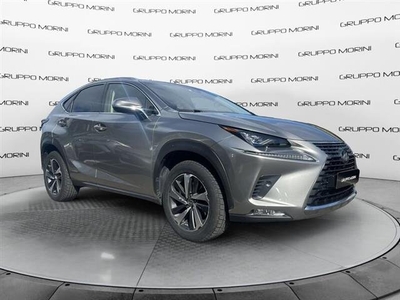 LEXUS NX Hybrid 4WD Luxury