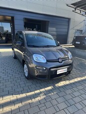 FIAT New Panda 1.0 FireFly S&S Hybrid City Life Elettrica/Benzina