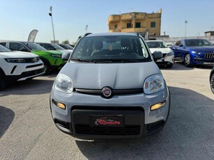 FIAT New Panda 1.0 FireFly S&S Hybrid CITY LIFE Elettrica/Benzina