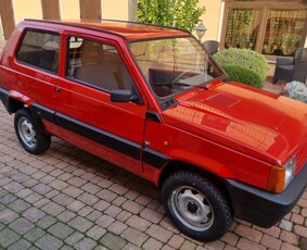 FIAT Panda 1ª serie 1100 i.e. cat 4x4 Benzina