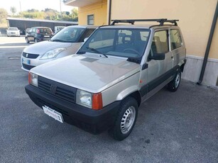 FIAT Panda 1ª serie 1100 i.e. cat 4x4 Trekking Benzina