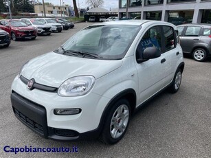 FIAT Panda 1.0 FireFly Hybrid CityLife KM0+PACK TECH+CITY LIF Elettrica/Benzina