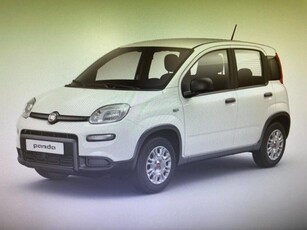 FIAT Panda 1.0 FireFly S&S Hybrid Elettrica/Benzina