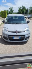 FIAT Panda 1.0 FireFly S&S Hybrid Elettrica/Benzina