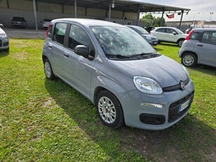 FIAT Panda 1.0 FireFly S&S Hybrid Elettrica/Benzina