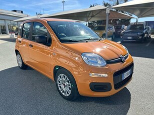 FIAT Panda 1.0 FireFly S&S Hybrid Elettrica/Benzina