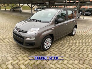 FIAT Panda 1.0 FireFly S&S Hybrid KM 0 Elettrica/Benzina