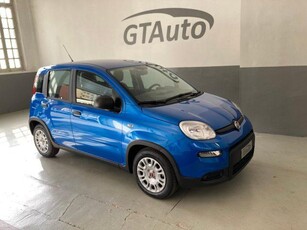 FIAT Panda 1.0 FireFly S&S Hybrid PROMO FINANZIAMENTO Elettrica/Benzina