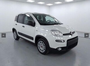 FIAT Panda 1.0 S&S Hybrid Van 4 posti Elettrica/Benzina