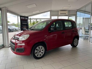 FIAT Panda 1.2 EASY 69CV Benzina