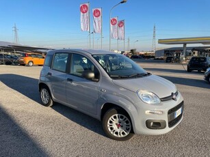 FIAT Panda 1.2 Easy Benzina