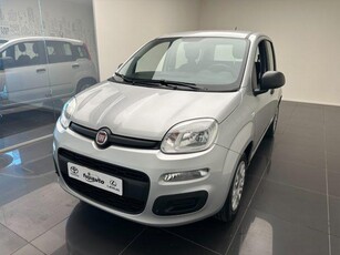 FIAT Panda 1.2 Easy Benzina