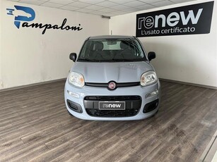 FIAT Panda 1.2 Easy s s 69cv my19 Benzina