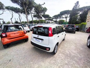 FIAT Panda 1.2cc GPL 69cv CLIMA STEREO USB Benzina/GPL