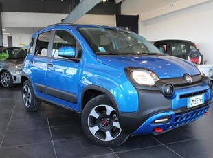 FIAT Panda Cross 1.0 FireFly S&S Hybrid Elettrica/Benzina