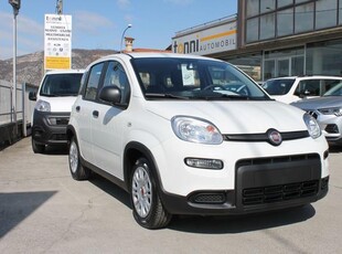 FIAT Panda My24 1.0 Hybrid 70cv *PackCity*5p*Incentivi24* Elettrica/Benzina