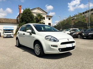 FIAT Punto 1.2 8V 5 porte Street OK NEOPATENTATI Benzina