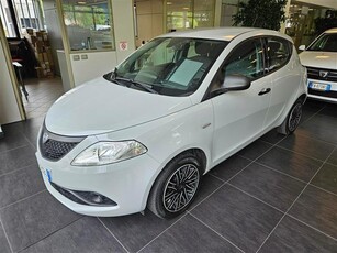 LANCIA Ypsilon 5 Porte 1.2 69cv Elefantino S S Benzina