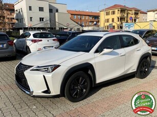 LEXUS UX 250h UX Hybrid 4WD Business Elettrica/Benzina