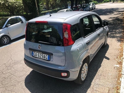 Usato 2019 Fiat Panda Benzin (9.800 €)