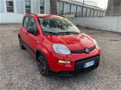 Fiat Panda 1.0 FireFly S&S Hybrid City Cross del 2022 usata a Caserta