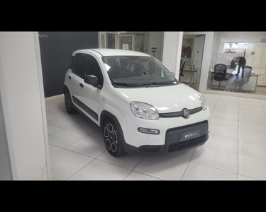 Fiat Panda 3ª serie 1.0 FireFly S and S Hybrid City Life