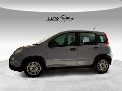 Fiat Panda III 2021 1.0 firefly hybrid s and s 70cv