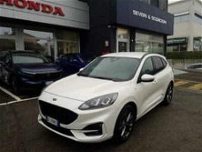 Ford Kuga 1.5 EcoBlue 120 CV 2WD ST-Line del 2021 usata a Reggio nell'Emilia