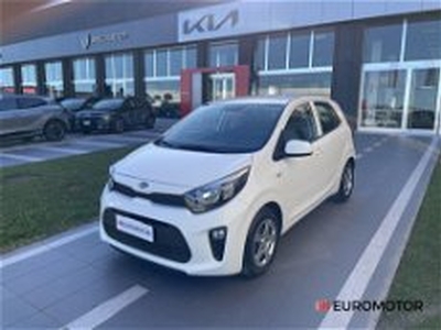 Kia Picanto 1.0 12V 5 porte Active del 2019 usata a Modugno