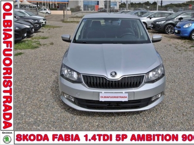 Skoda Fabia 1.4 TDI 90 CV Ambition usato