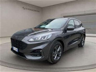 Ford Kuga 2.0 EcoBlue Hybrid 150 CV 2WD ST-Line X del 2020 usata a Reggio nell'Emilia