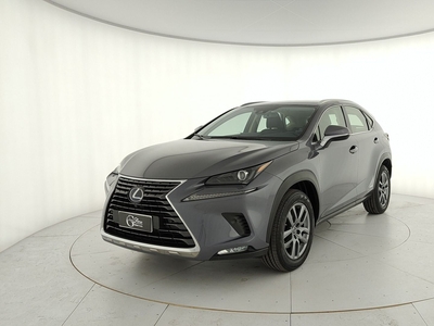 Lexus NX Hybrid 4WD