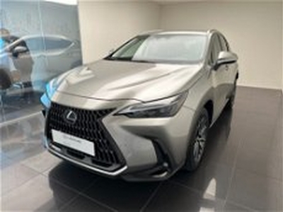 Lexus NX Plug-in 4WD Premium del 2023 usata a Cuneo