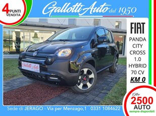 Fiat Panda 1.0 FireFly S&S Hybrid City Cross nuovo