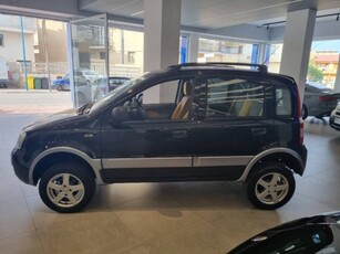 Fiat Panda 1.2 4x4 usato