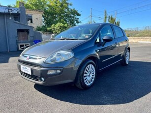 Fiat Punto 1.2 5 porte Active usato