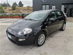 Fiat Punto 1.3 MJT II S&S 95 CV 5 porte Street del 2018 usata a Matera