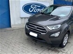 Ford EcoSport 1.5 Ecoblue 95 CV Start&Stop del 2021 usata a Pavone Canavese