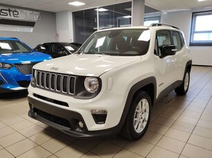 Jeep Renegade 96 kW