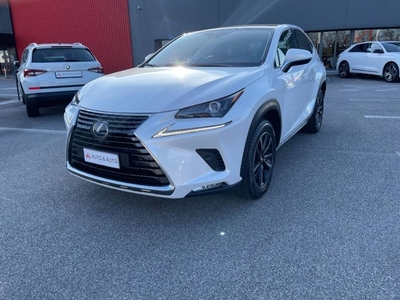 Lexus NX Hybrid 4WD