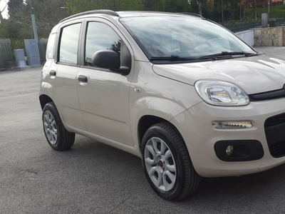 Usato 2014 Fiat Panda 0.9 CNG_Hybrid 85 CV (5.400 €)