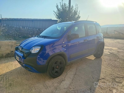 Usato 2019 Fiat Panda Benzin (11.500 €)